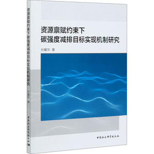 资源禀赋约束下碳强度减排目标实现机制研究 孙耀华 著 经济理论经管、励志 新华书店正版图书籍 中国社会科学出版社