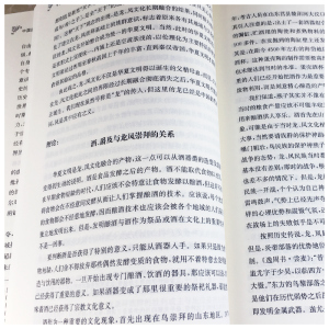 中国的诞生(修订版) 中和 著 社会科学总论经管、励志 新华书店正版图书籍 复旦大学出版社