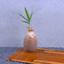 Hoa gốm chậu hoa tím cát đá gốm hoa chậu cây mọng nước cá tính nhỏ bình hoa gốm gốm - Vase / Bồn hoa & Kệ chậu cây treo tường trong nhà Vase / Bồn hoa & Kệ
