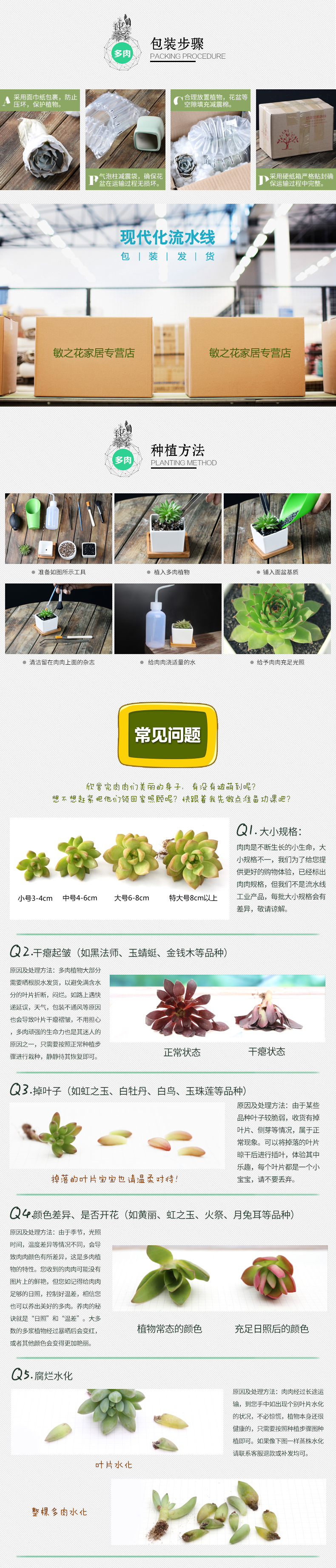 Hoa gốm chậu hoa tím cát đá gốm hoa chậu cây mọng nước cá tính nhỏ bình hoa gốm gốm - Vase / Bồn hoa & Kệ chậu cây treo tường trong nhà
