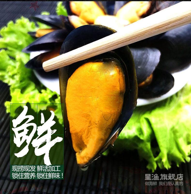星渔 大号鲜活淡菜海虹 5斤 图4