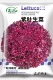 Семена салата фиолетовые листья 10 г/пакет (при покупке 2 получи 1 в подарок)