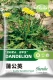 Семена одуванчика 10 г/пакет (при покупке 2 получи 1 в подарок)
