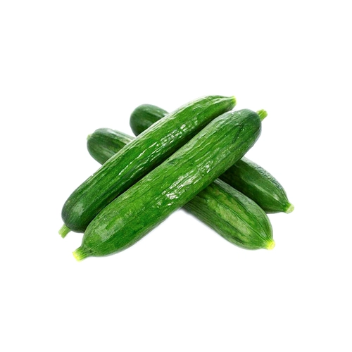 Фермер Ашин Маленькие Семена огурца высокий урожай, летние горшечные растения без шипа весной и осенью, весна