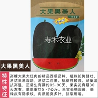 Большие фрукты черные красавица семя арбуза 300 граггс