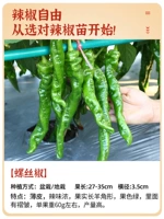 (Essential Garden) 6 винтовых саженцев