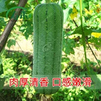 Duobao Meat Loofah Seed 20G Упрощенная установка (специальное толстое мясо ароматное и нежное)