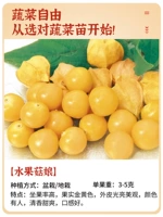 (Основной сад) Пять фруктовых грибных саженцев матери