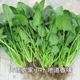 Семена шпината мелколистного, семена шпината зеленой капусты мелкие, семена четырехсезонных осенних и зимних овощей, семена холодостойкого рапса озимых.