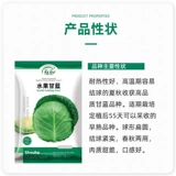 Зеленый крест -блюд -семян эверсист