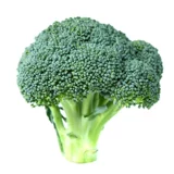 Семена брокколи, семена овощей, семена брокколи, цветная капуста, юго-западная цветная капуста, рассада овощей, рассада брокколи