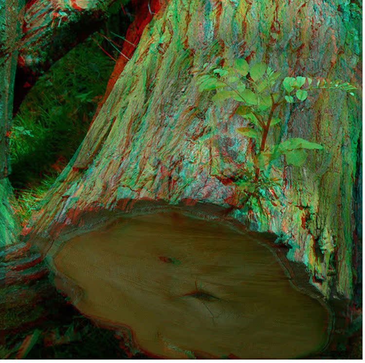 Lunettes 3D - Ref 2620418 Image 23