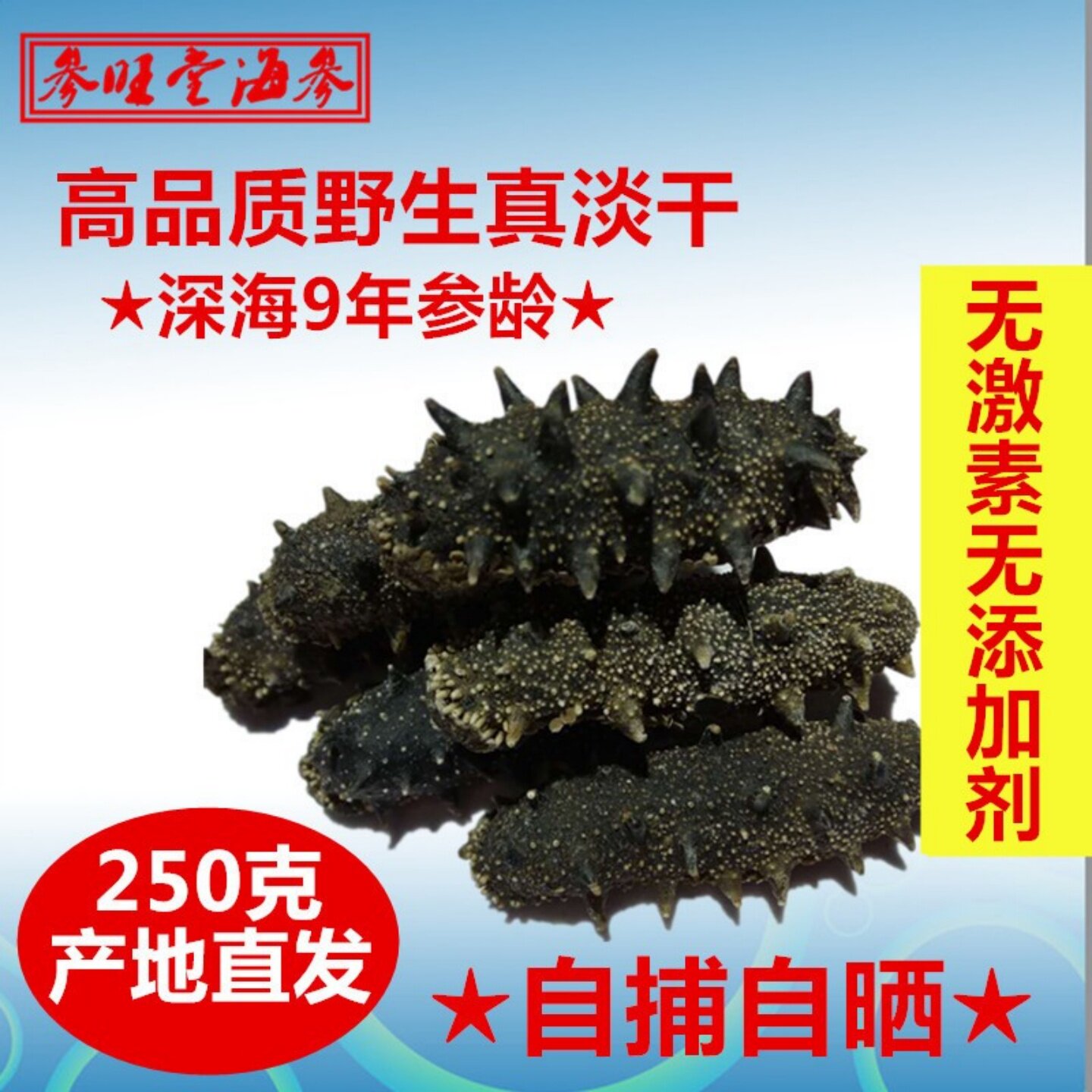 250g 乾燥天然ナマコ、軽く乾燥させたナマコ、大連妊婦向けナマコ旗艦店、遼寧ナマコ、深海棘ナマコ、乾燥ナマコ。