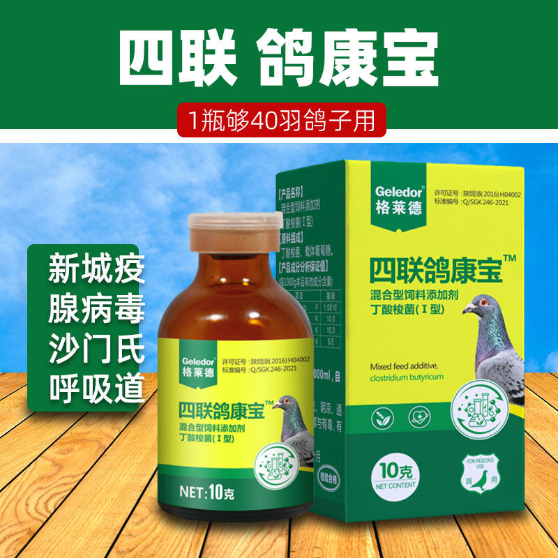 Glade pigeon medicine quadruple oral vaccine carrier pigeon pigeon vaccine drinking water Newcastle disease adenovirus Salmonella respiratory tract