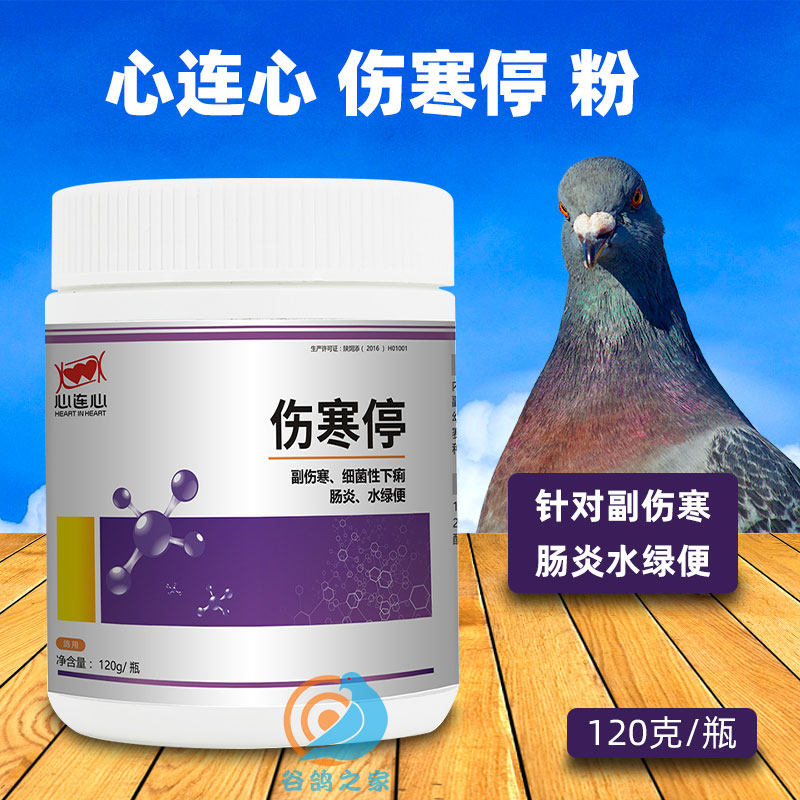 Heart Hyphens Dove Medicine Grand Total Letter Pigeon Dove Typhoid Stop Powder Dove with Veil Door's Typhoid Fever drug Big All Common Disease