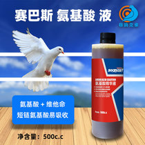 Sybas Dove Drug Amino Acid Dove With Fine Hua Liquid Parrot Belive Pigeon Dove Nutritional Supplies Medicine Conditioning Health Care Supplement