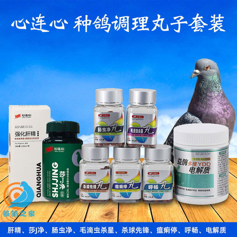 Heart Linking Pigeon Medicine All Pigeon Conditioning Package Package Pigeon Pigeon Pigeon Drug