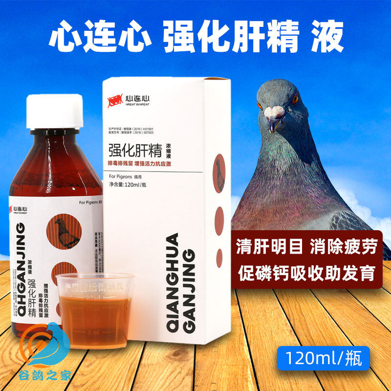 Heart-connected pigeon medicine Large whole strengthening liver sperm pigeon with detoxifense Dove Parrot Bird Pigeon Bird Pigeon Health Products Medicine Nutrition Conditioning