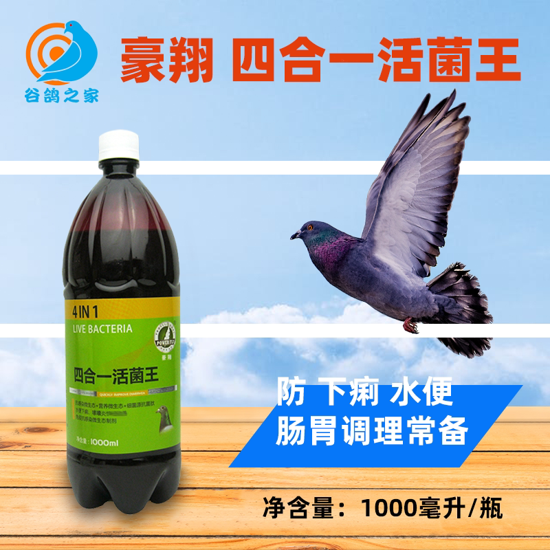 Haoxiang Pigeon Health Care Conditioning Four in One Live Wang Pigeon Drug Day Common Disease Safe Medicine Gut