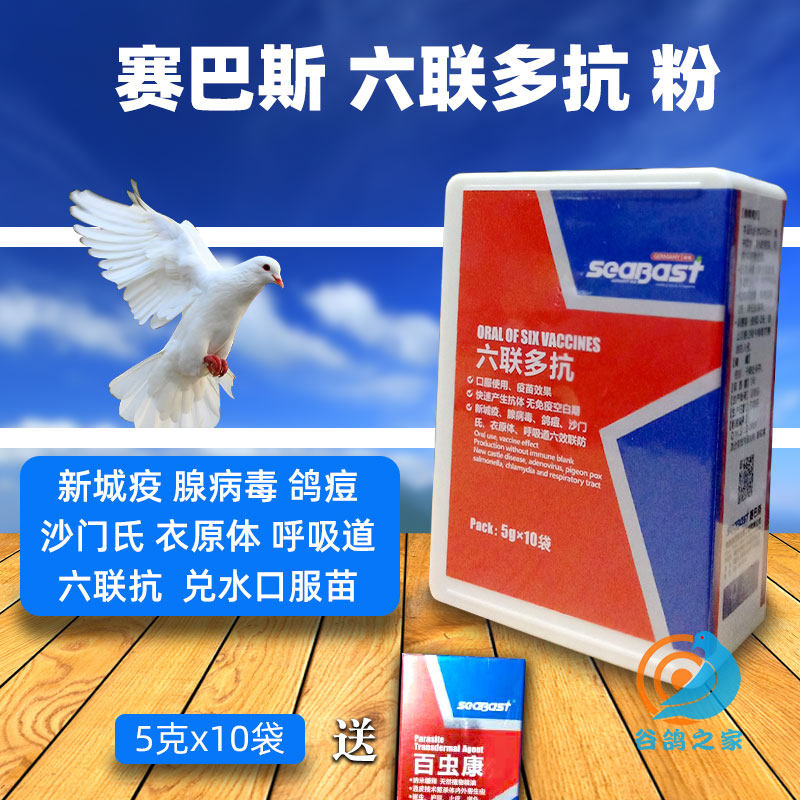 Sybas Dove Medicine Six United Multiple Anti-Synod Dove Chlamydia Gauze Mens Adenovirus Dove Vaccinated Dove Vaccine Pigeon Vaccine Dove