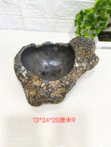 Special Price natural coral worm fossil ashtray small flower pot fish tank strange stone ornamental stone ornaments Feng Shui Cai