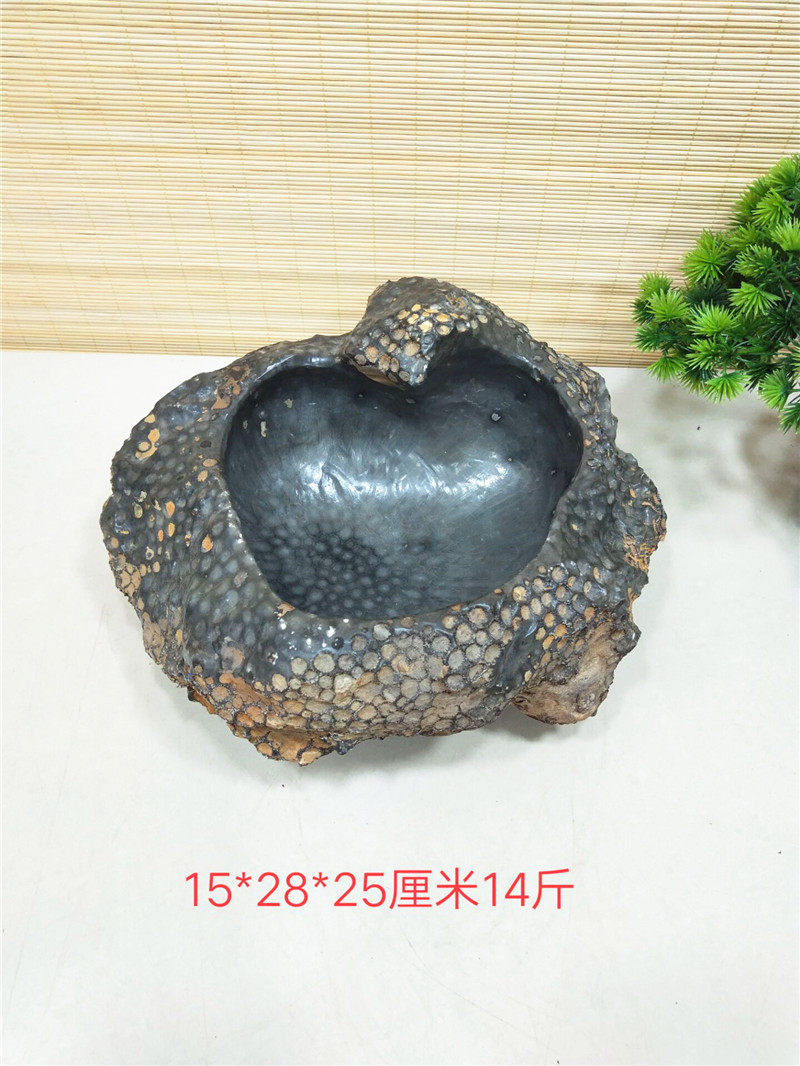 Special offer original stone coral fossil ashtray small flower pot fish tank strange stone sightseeing stone ornaments feng shui stone
