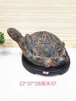 Boutique Guizhou Qingguangxi large fossil raw stone strange stone modeling stone collection ornaments Lingbi stone ornamental stone