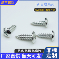 White zinc TA large flat head umbrella head self-tapping screw M3M4 cross recessed flat head screw M2 3M2 6M3 5M5M6