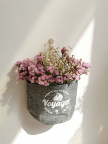 Nordic style dried flower wall hanging starry pine cones bouquet Light luxury home furnishings diy wall background pendant decoration
