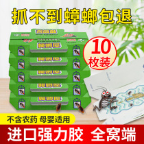 Tulip cockroach house Cockroach House Cockroach House Cockroach House Cockroach Stickler Stickler to kill the cockroach