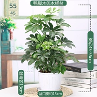 Деревянный имитационный бассейн с утиной