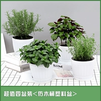 [4 больших горшка] Имитация деревянной бочкообразной мяты+Розмари+Бейли благовония+perilla