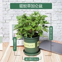 Москито -репеллентный травяной бассейн Галлоль большой бассейн (три куска садового искусства+удобрения)