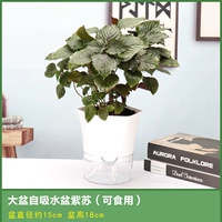 [Перису] Большой ручка шестигранник