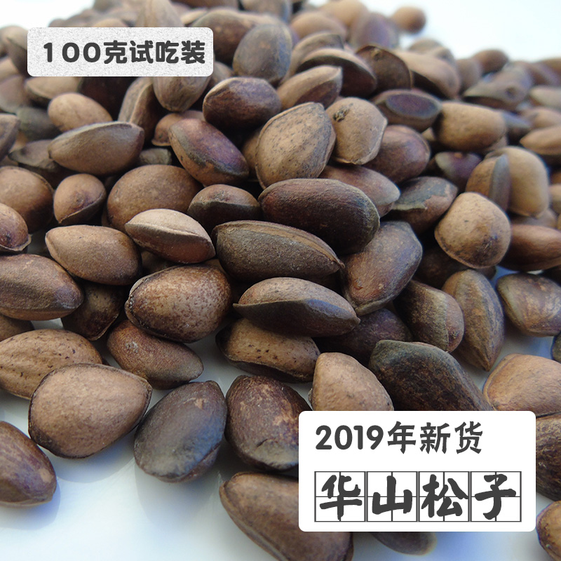 Huashan pine nuts 100g (raw meal) squirrel nut molar food