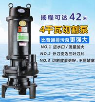 Miniaturized sewage pump new mud pump chicken manure pump dredging pump cutting machine slurry cement slurry size type