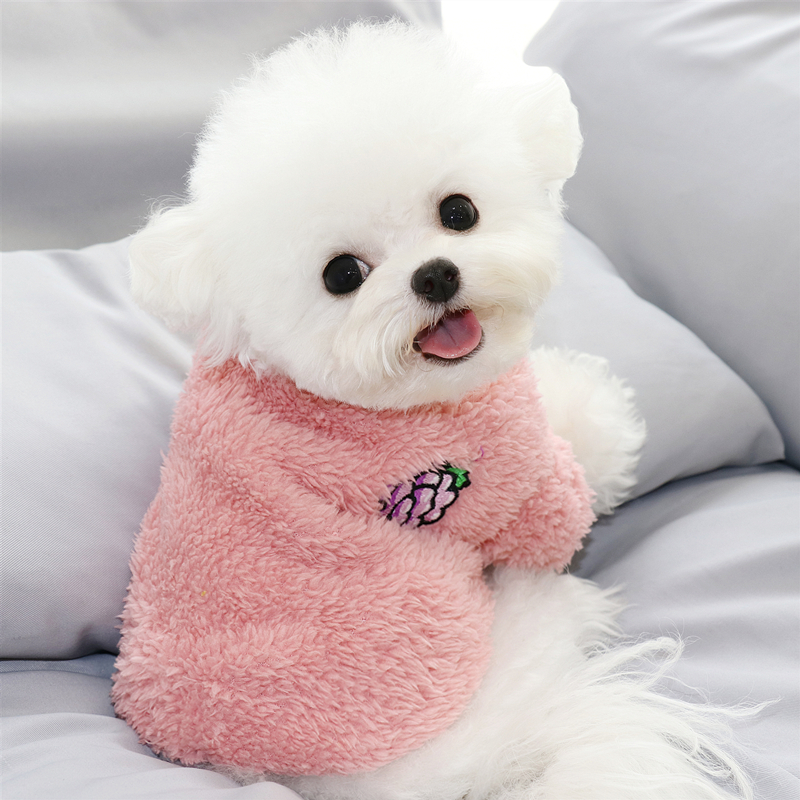 Net red dog clothes cute autumn and winter clothes plus velvet warm teddy bear Yorkshire puppies small autumn clothes