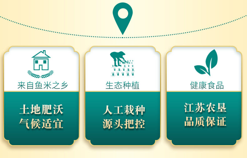 安享好物 安享B级粳米-莘森南粳粳米 国标 