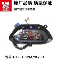 Применимый haute duet scooter pleasing star HJ125T-9 9A 9C 9D meter assembly New please star -23 miles code