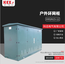 Cable branch box DFW-12 XGN15-12 high voltage switchgear 10kv ring network cabinet Distribution cabinet