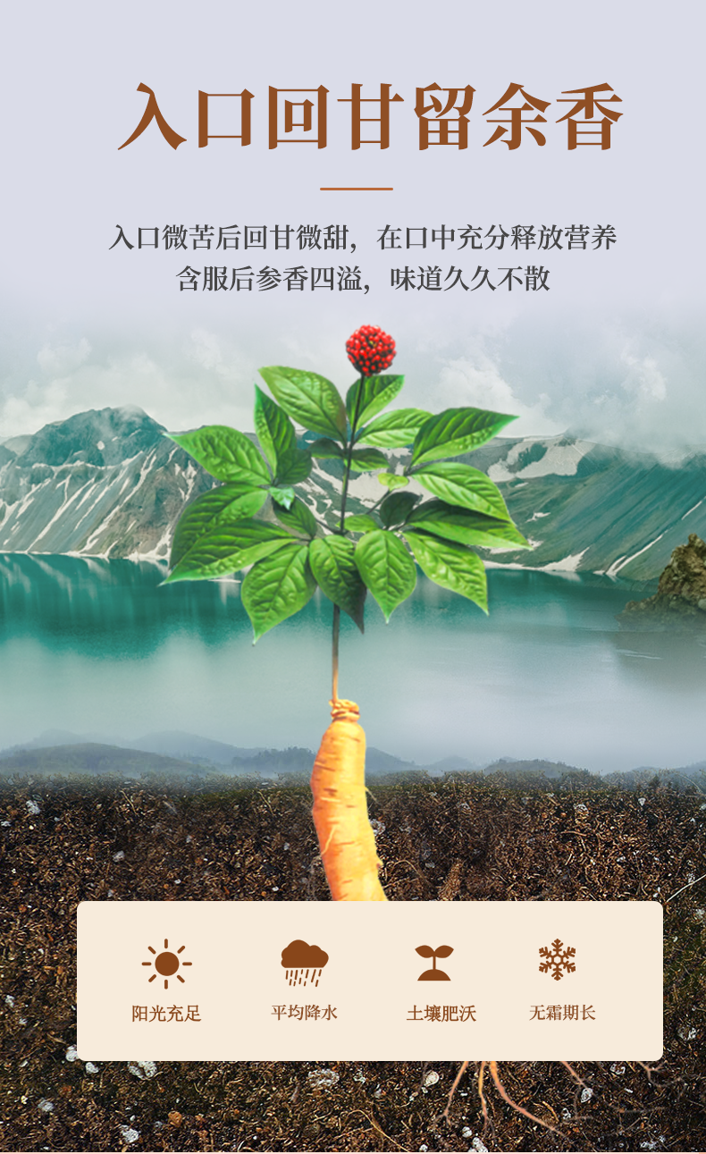 蓝帽认证  力菲 西洋参含片 12粒*2盒 图1