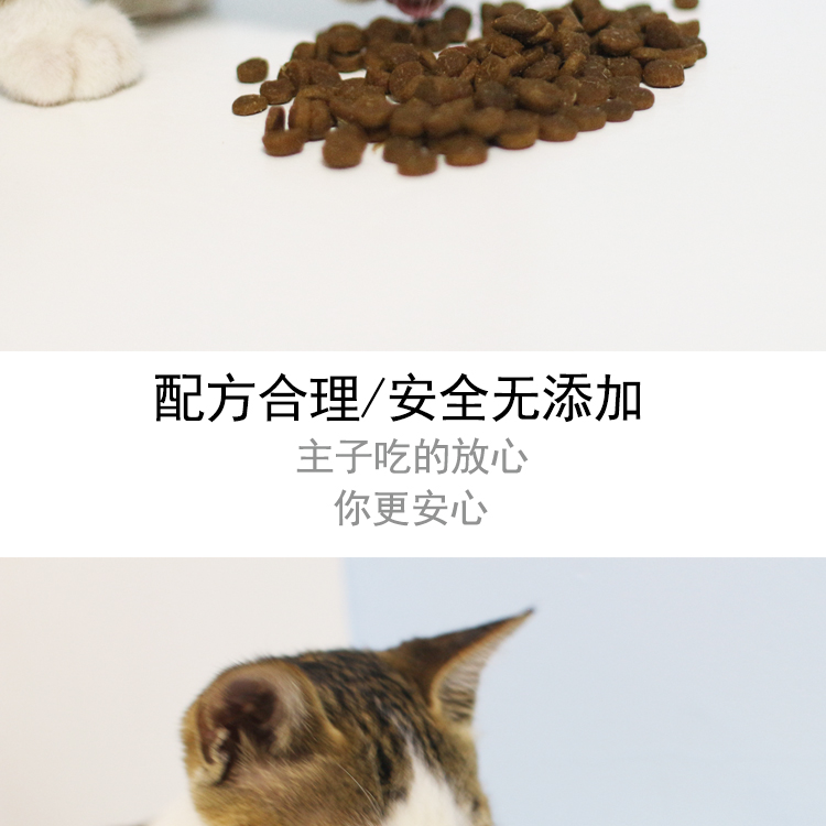 Thức ăn cho mèo Netease Chọn thức ăn cho mèo Thức ăn cho mèo Thức ăn cho mèo Mèo Thực phẩm dành cho mèo - Cat Staples cám royal canin