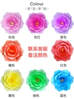 30 см. Свободная полоса домашние цветные замечания Peony Color