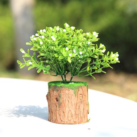 Cây mô phỏng chậu nhỏ cây xanh cây cảnh nhỏ vườn cây để bàn giả cây trồng trong chậu trang trí nhà trang trí nhỏ - Hoa nhân tạo / Cây / Trái cây hoa lan giả hạc