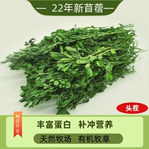 22 years of new drying alfalfa hay rabbit food chinchilla guinea pig rabbit pasture feed gross weight 2 catties