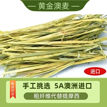 2021 Gold Australian Oatmeal One-Press Hand Picked Rabbit Guinea Pig Chinchilla Hay 500G