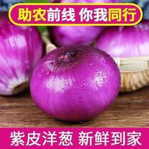 Yunnan purple onion with a box of 10 pounds of fresh fruits and vegetables are now dug round head seasonal farm specialty self-grown red skin