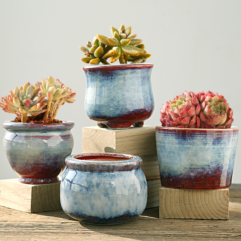 The Fleshy old running the flowerpot ceramic large special offer a clearance package mail creative move Fleshy basin coarse pottery large diameter size