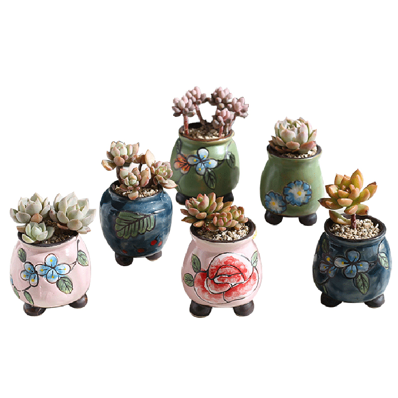 The Fleshy flowerpot ceramic special offer a clearance package mail large meat meat small basin of creative move contracted xi hand basin