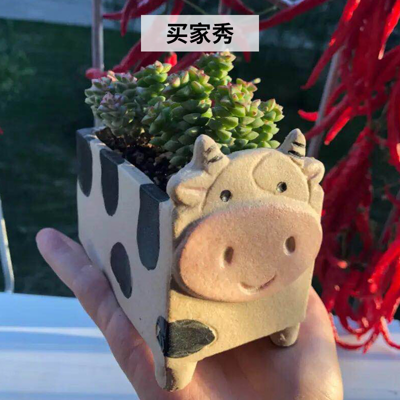 Express cartoon fleshy flowerpot creative move ceramic animal combination potted plant size flowerpot platter